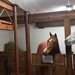 Apartmán Letní Domek, Koně, Lezecká Stěna, Fitness, Nově I Možnost Spaní Nad Hlavami Koní!!! *