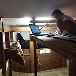 Apartmán Letní Domek, Koně, Lezecká Stěna, Fitness, Nově I Možnost Spaní Nad Hlavami Koní!!! *