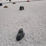 Letní Domek, Koně, Lezecká Stěna, Fitness, Nově I Možnost Spaní Nad Hlavami Koní!!! * Cizkov