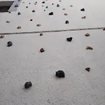 Apartmán Letní Domek, Koně, Lezecká Stěna, Fitness, Nově I Možnost Spaní Nad Hlavami Koní!!! *