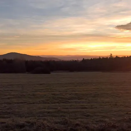 Letní Domek, Koně, Lezecká Stěna, Fitness, Nově I Možnost Spaní Nad Hlavami Koní!!! Apartmán